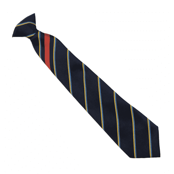 National CofE Academy Red Worcester House Tie 16"