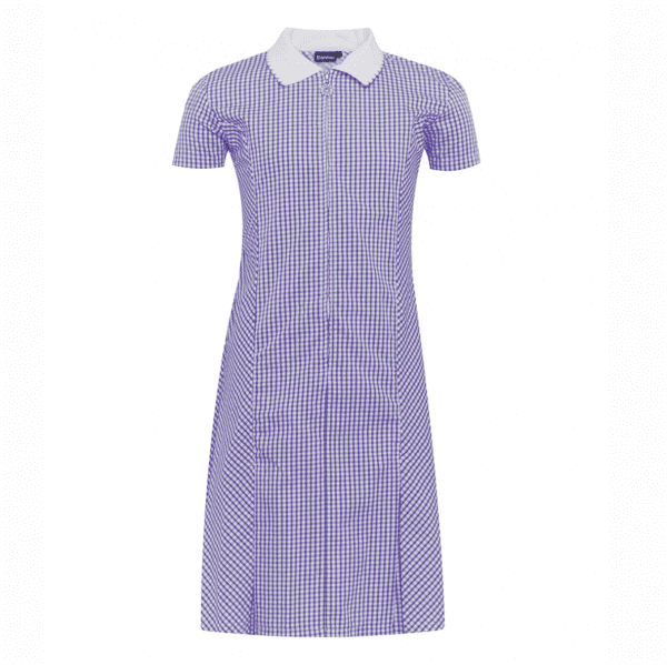 Chaddesden Park Girls Purple Summer Dress