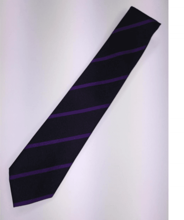 Etone College School Tie - Dragon House (Purple)