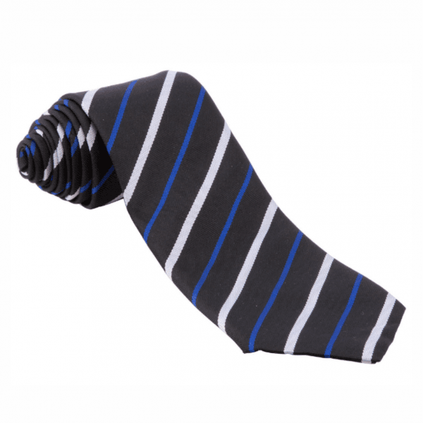 Nottingham High School Junior House Tie 45" - Ball