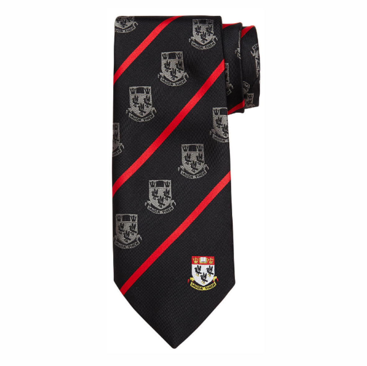 Nottingham High School Senior House Tie 54