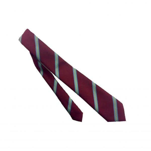 St Thomas More School Tie 39"