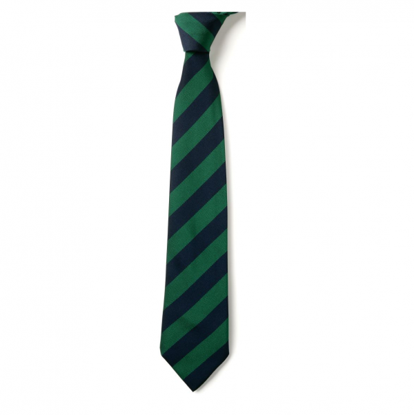 Park Vale School Tie